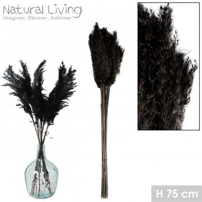 NATURAL LIVING - PAMPA TEINTE NOIR X10PCS