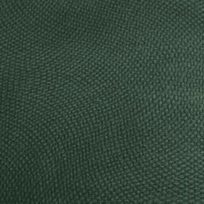 COUSSIN LILOU VERT 45X45