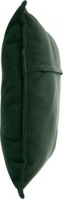 COUSSIN LILOU VERT 45X45
