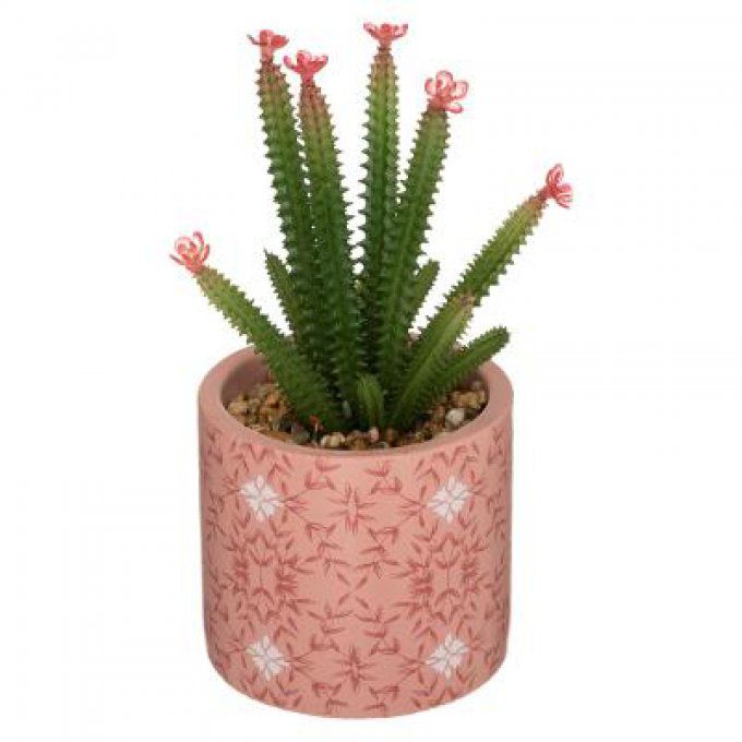 CACTUS CERAMIQUE GYPSY H22
