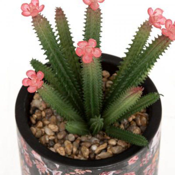 CACTUS CERAMIQUE GYPSY H22