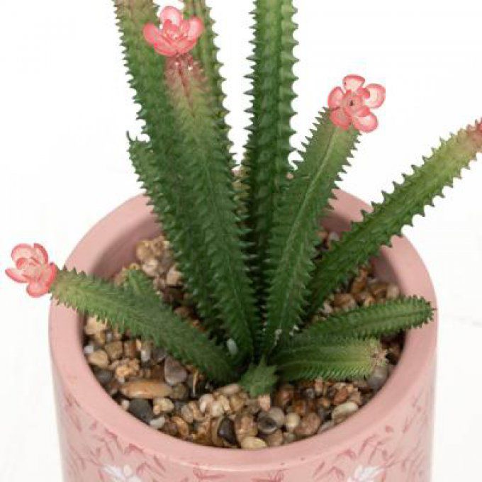 CACTUS CERAMIQUE GYPSY H22