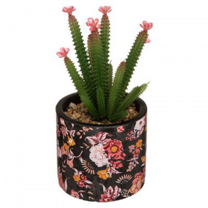 CACTUS CERAMIQUE GYPSY H22