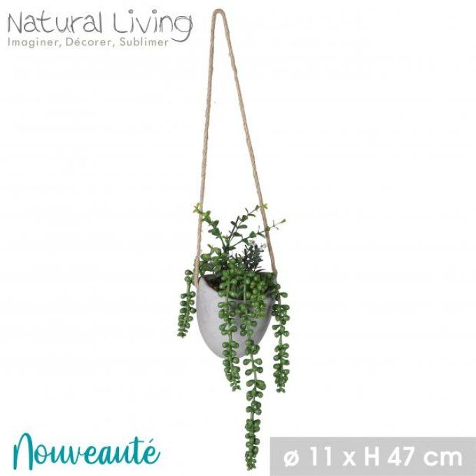 SUCCULENTE- Suspension artificiel en pot de ciment