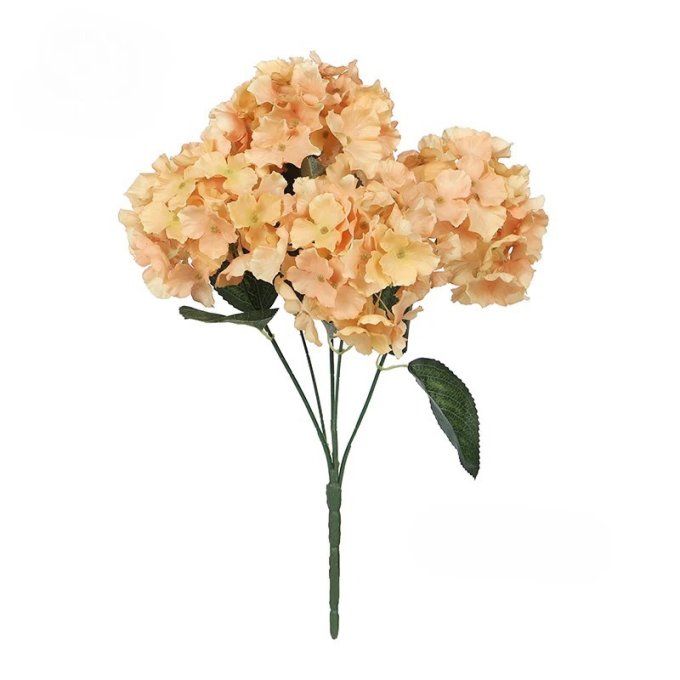 Hortensias différents coloris.