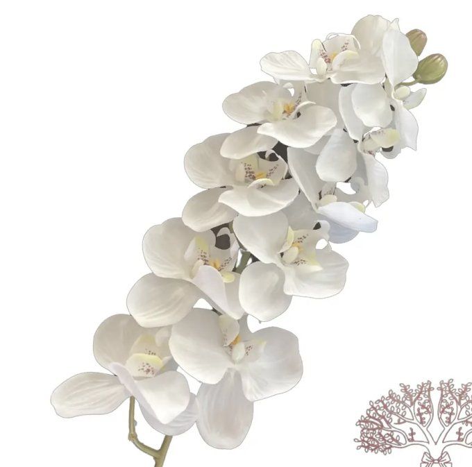 Orchidées artificielles blanches ou jaunes.