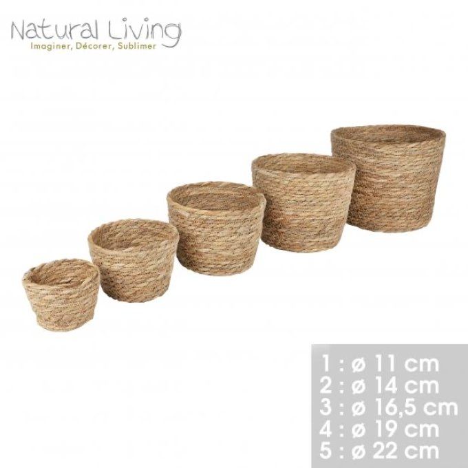 Set de 5 cache pot herbes de jonc