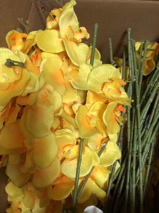 Orchidées artificielles blanches ou jaunes.